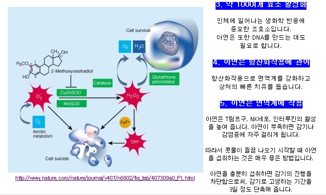 idarucizumab mechanism of action